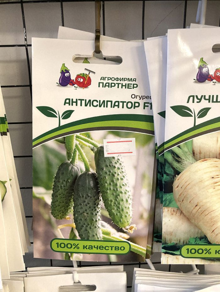 огурец партенокарпический Антисипатор F1